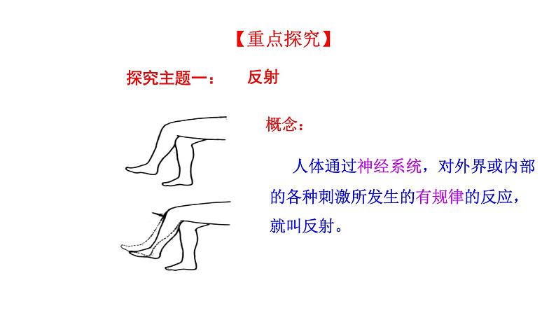 4.6.3 神经调节的基本方式新 多媒体课件 2022-2023 人教版生物 七年级下册第4页