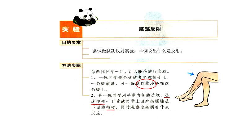 4.6.3 神经调节的基本方式新 多媒体课件 2022-2023 人教版生物 七年级下册第5页