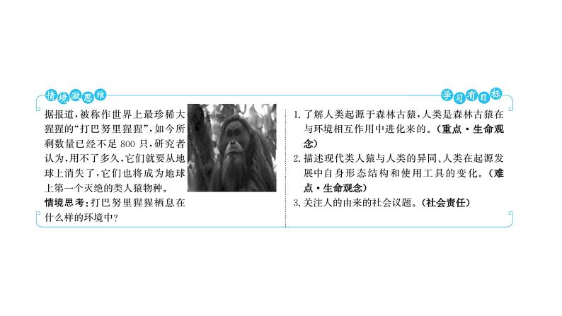 第四单元 第一章 人 的 由 来 第一节 人类的起源和发展 课件 2022-2023 人教版生物 七年级下册第2页