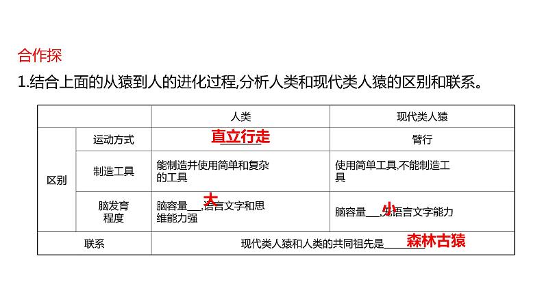 第四单元 第一章 人 的 由 来 第一节 人类的起源和发展 课件 2022-2023 人教版生物 七年级下册第8页