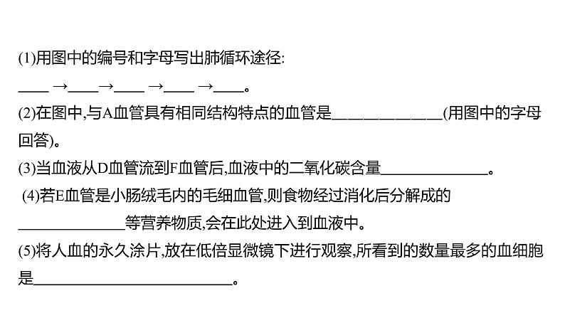 热考题型一 读 图 理 解 课件 2022-2023 人教版生物 七年级下册第5页