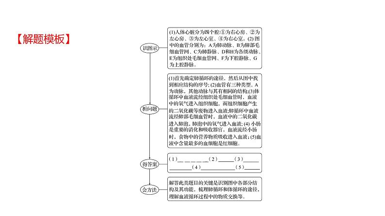热考题型一 读 图 理 解 课件 2022-2023 人教版生物 七年级下册第6页