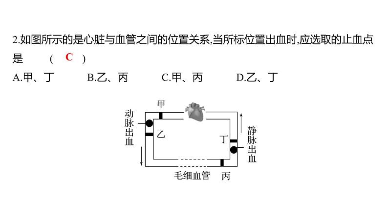 热考题型一 读 图 理 解 课件 2022-2023 人教版生物 七年级下册第8页