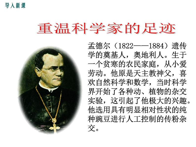 人教版八年级生物下册--第三节 基因的显性和隐性(课件)第5页
