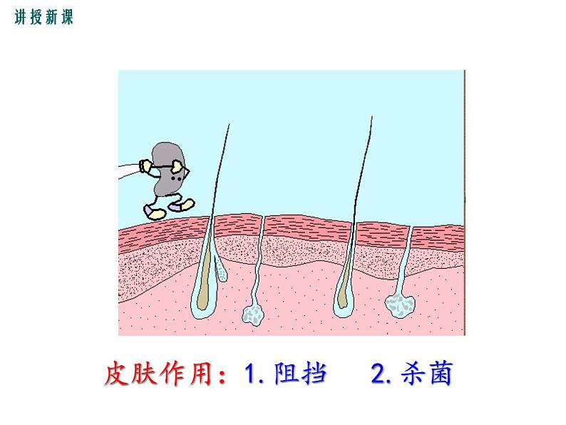 人教版八年级生物下册--免疫与计划免疫第1课时 人体的三道防线(课件)第6页
