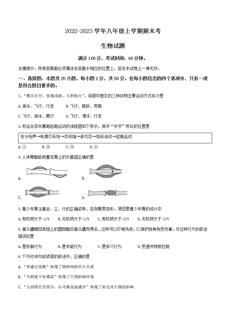 福建省泉州市外国语中学、东海中学2022-2023学年八年级上学期期末联考检测生物试题(含答案)第1页