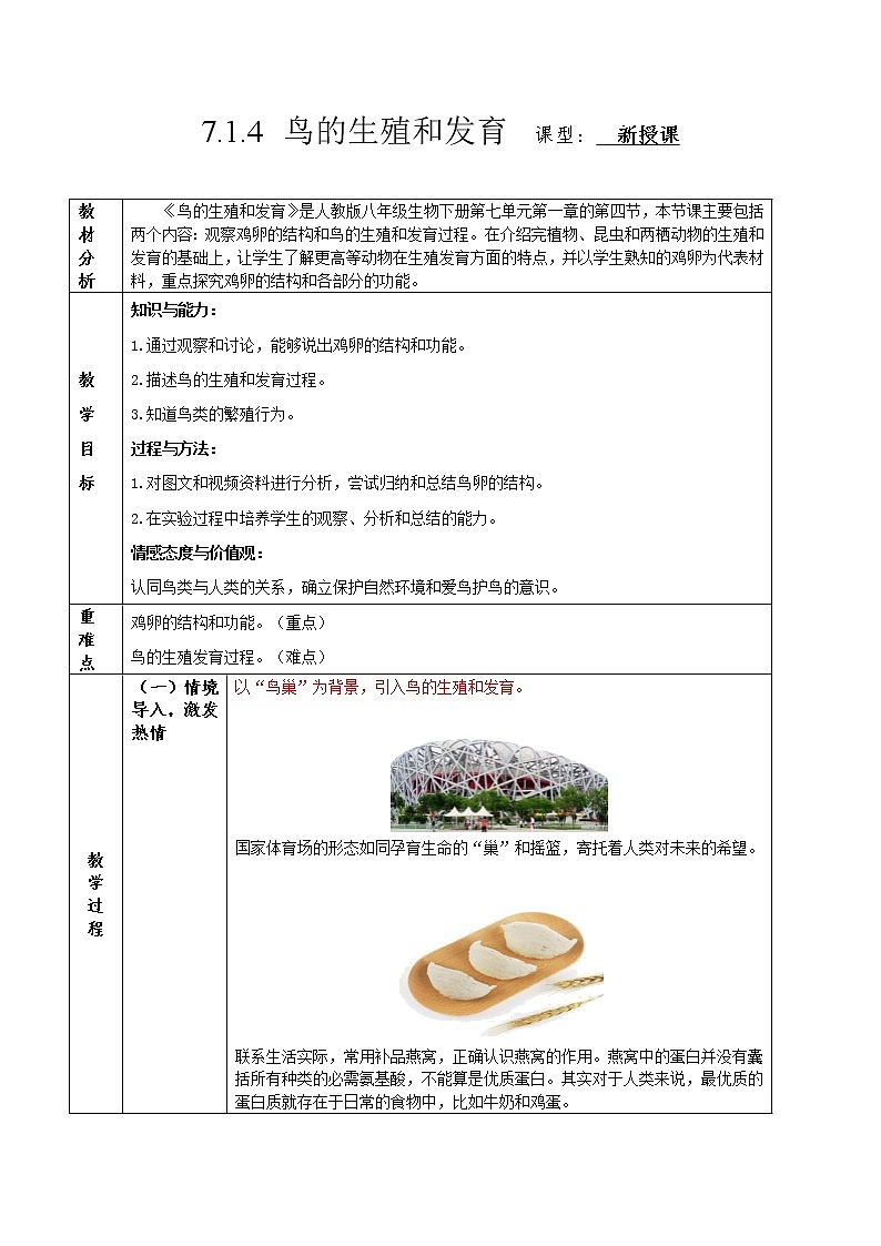 人教版生物八年級下冊 7.1.4 鳥的生殖和發(fā)育 教案第1頁