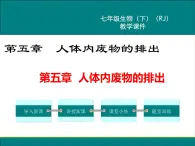 人教版生物七年级下册5.1人体内废物的排出课件PPT