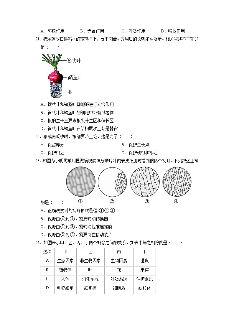 福建省泉州市丰泽区2022-2023学年七年级上学期期末生物试卷03