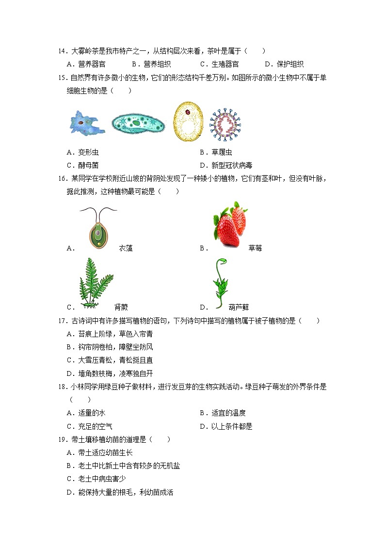 广东省茂名市2022-2023学年七年级上学期期末生物试卷第3页