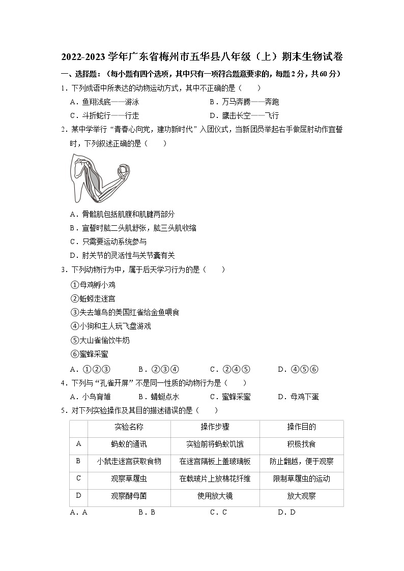 广东省梅州市五华县2022-2023学年八年级上学期期末生物试卷01