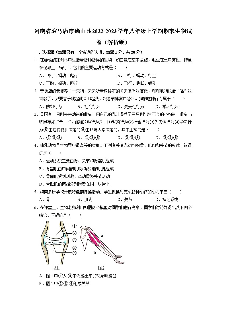 河南省驻马店市确山县2022-2023学年八年级上学期期末生物试卷第1页