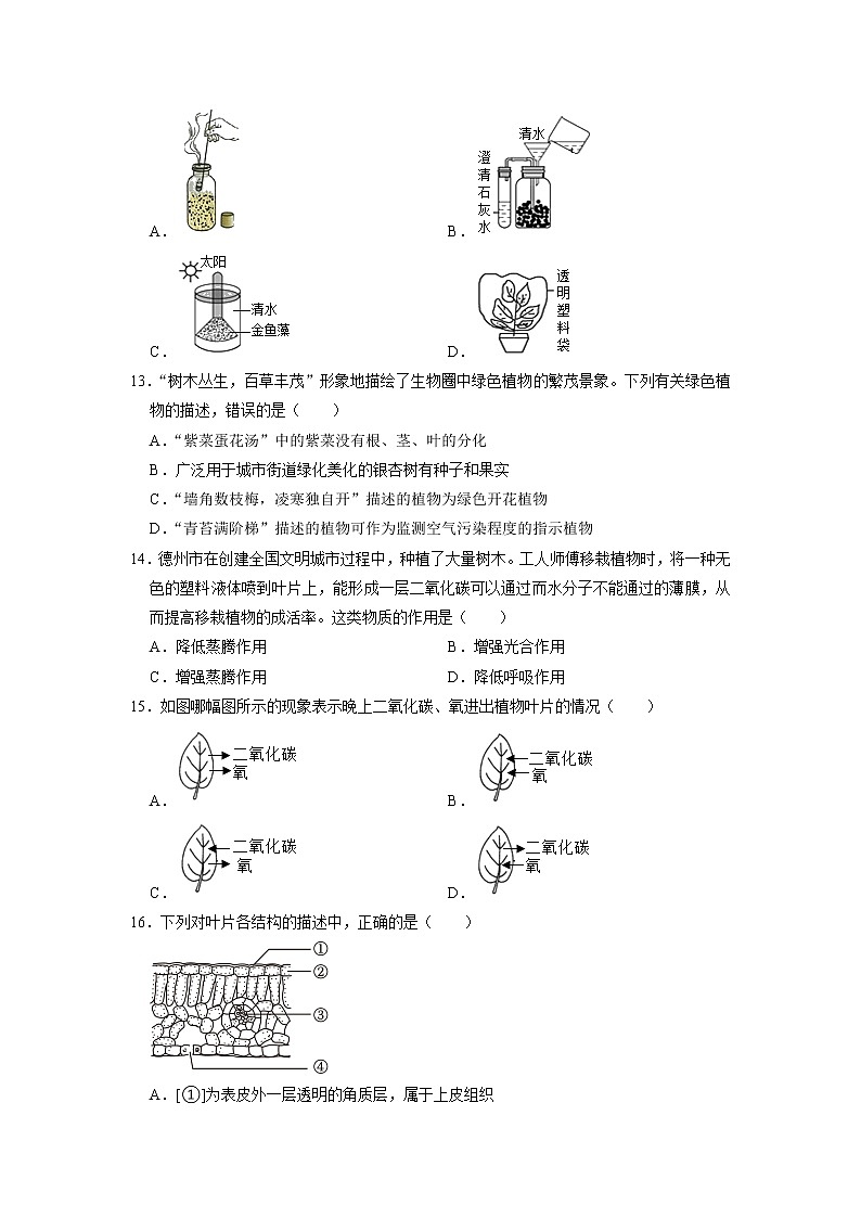 山东省德州市临邑县永兴学校2022-2023学年七年级上学期期末生物试卷第3页