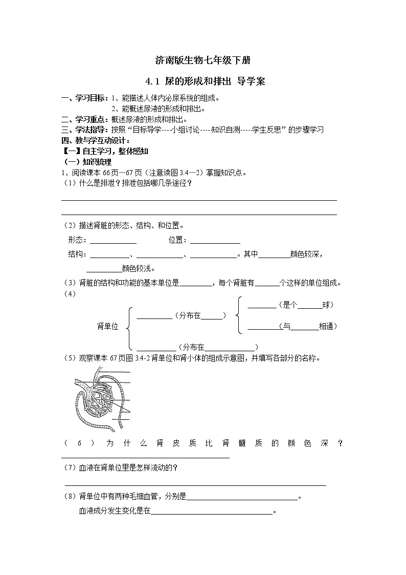 濟(jì)南版生物七年級下冊 4.1 尿的形成和排出 導(dǎo)學(xué)案第1頁