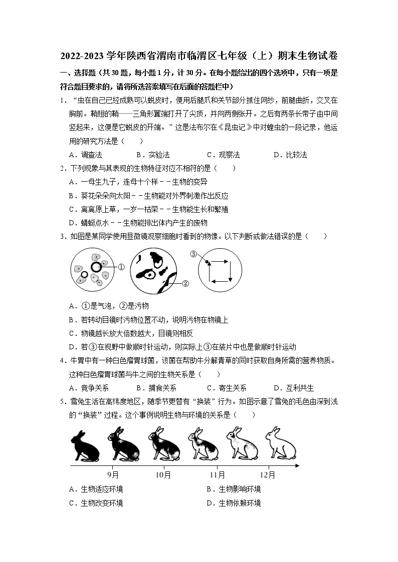 陕西省渭南市临渭区2022-2023学年七年级上学期期末生物试卷01