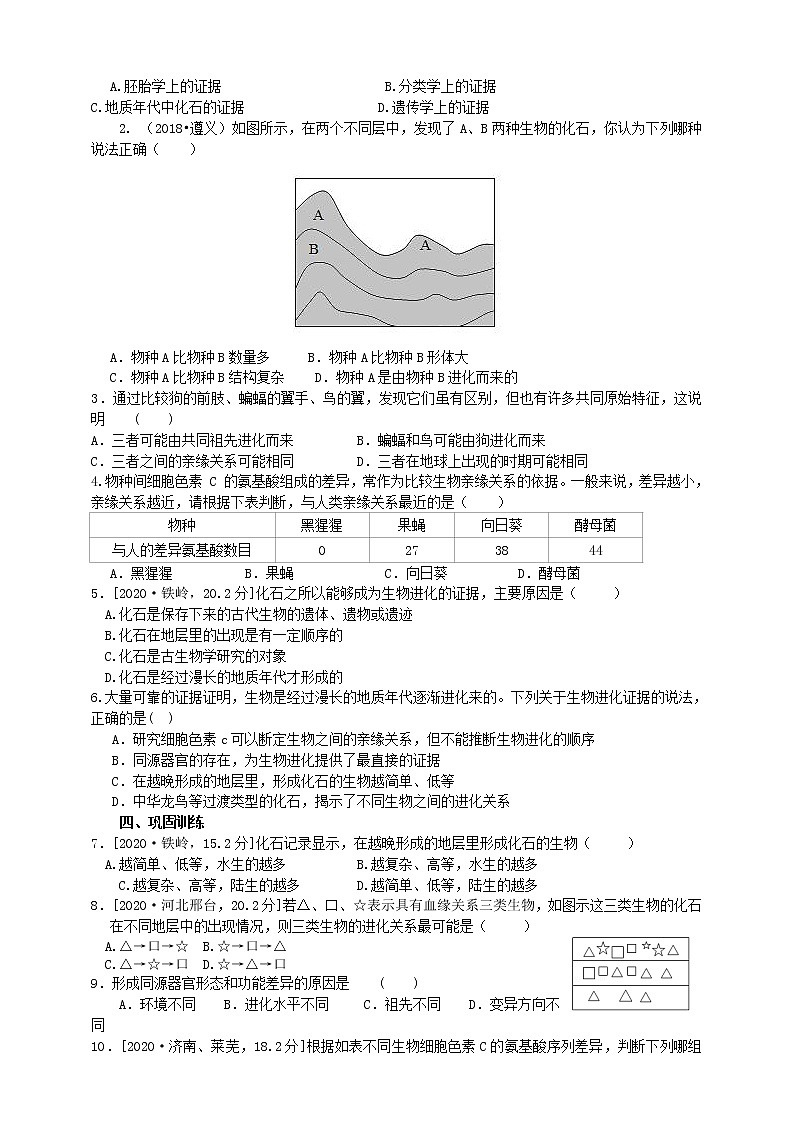 济南版生物八下导学案 5.1.2 生物进化的证据02
