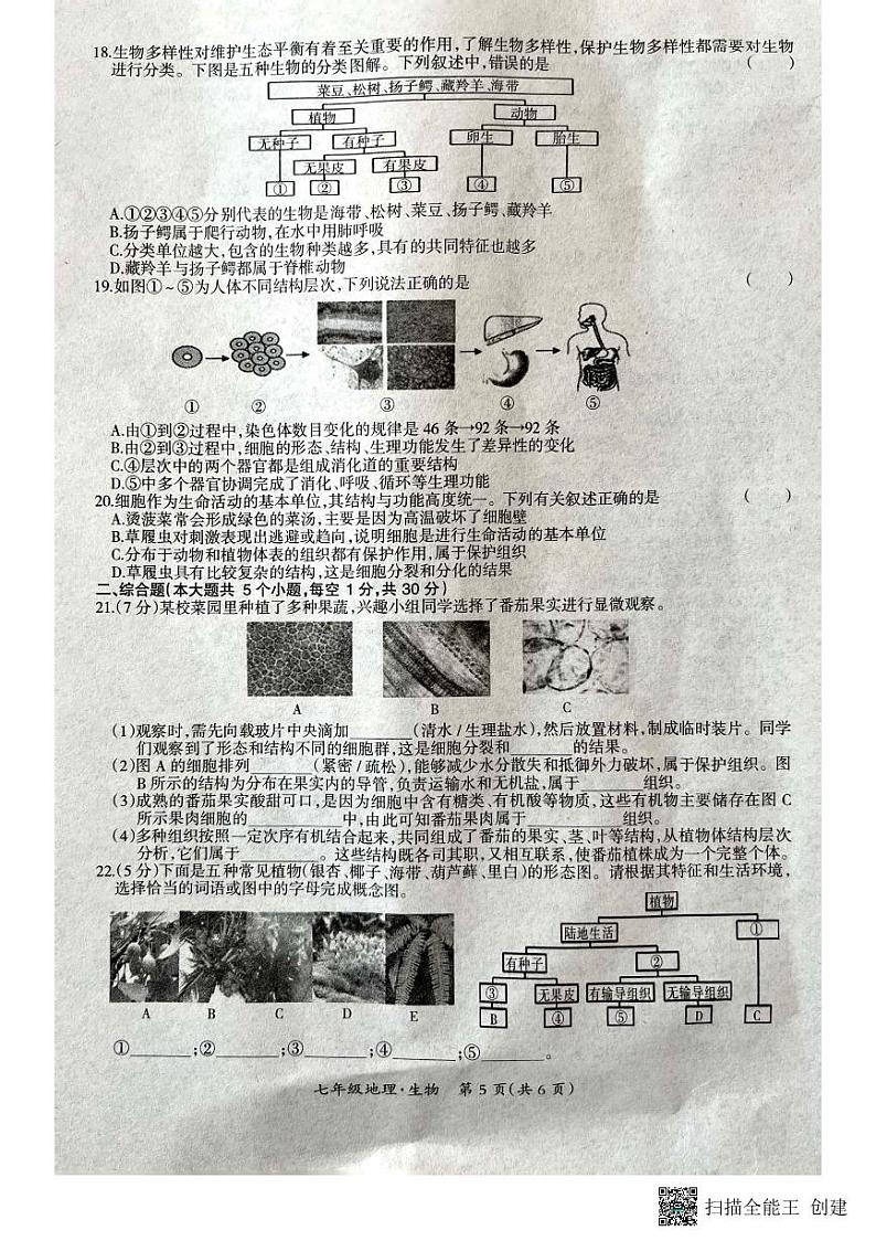 江西省吉安市吉安县2022-2023学年七年级上学期期末生物试题02