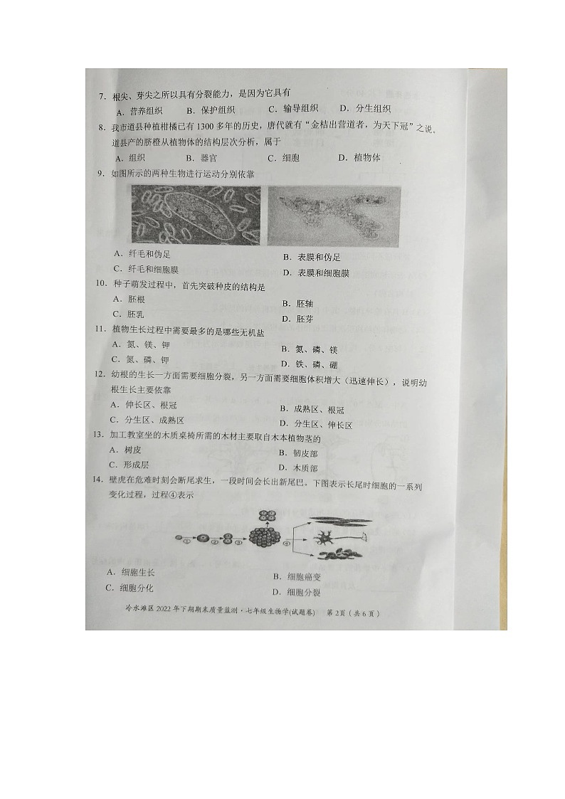 湖南省永州市冷水滩区2022-2023学年七年级上学期期末生物试题02