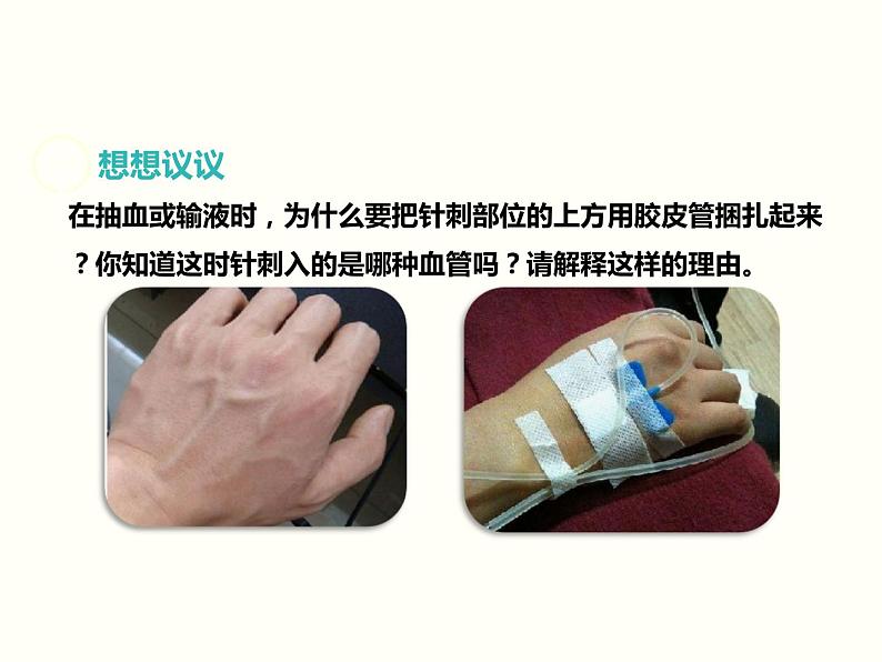 人教版七年级生物下册--4.2 血流的管道——血管(精品课件)第1页