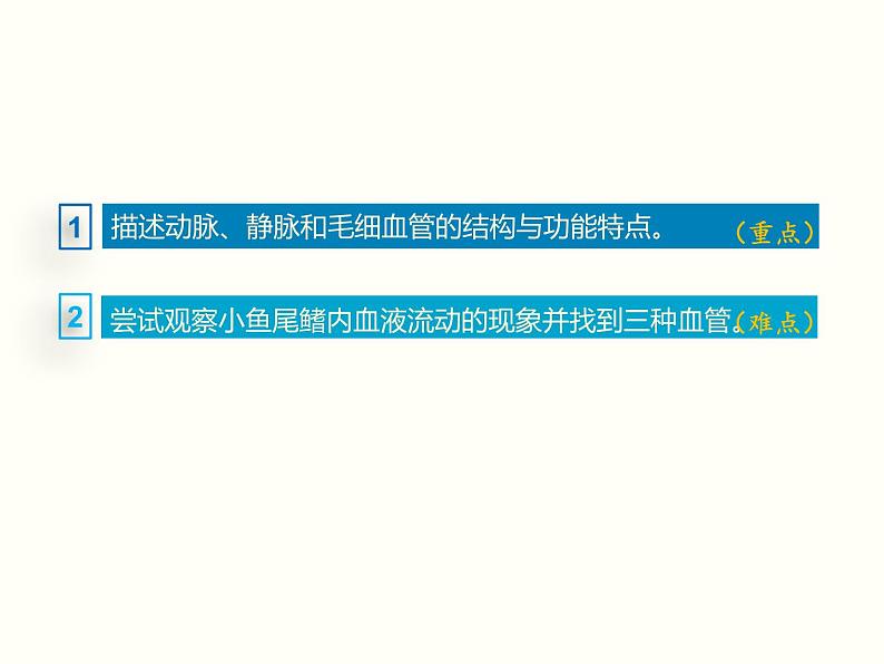 人教版七年级生物下册--4.2 血流的管道——血管(精品课件)第3页