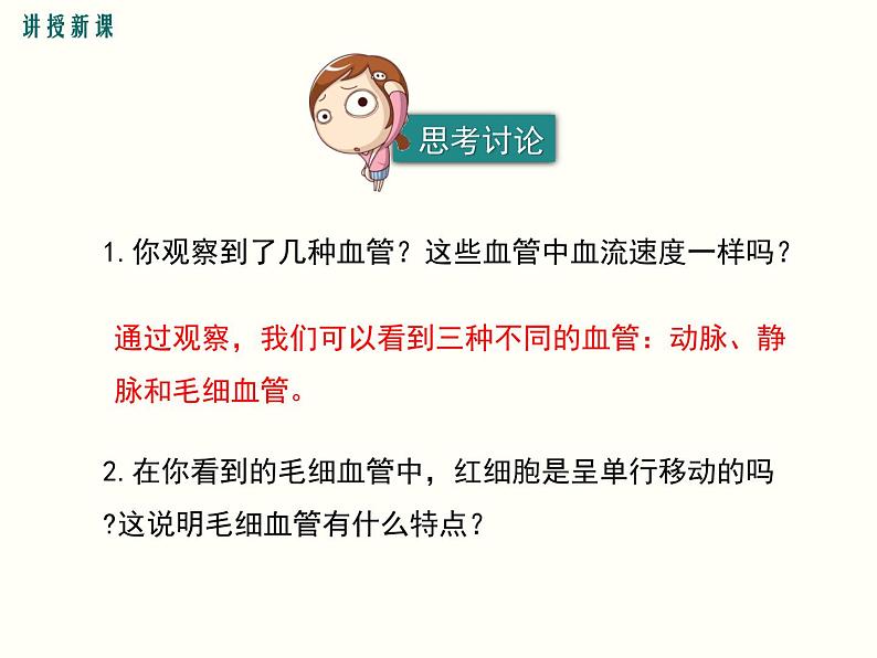 人教版七年级生物下册--4.2 血流的管道——血管(精品课件)第7页