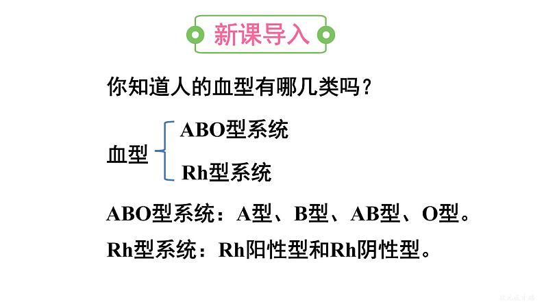 人教版七年级生物下册--4.4.4 输血与血型(课件)第2页