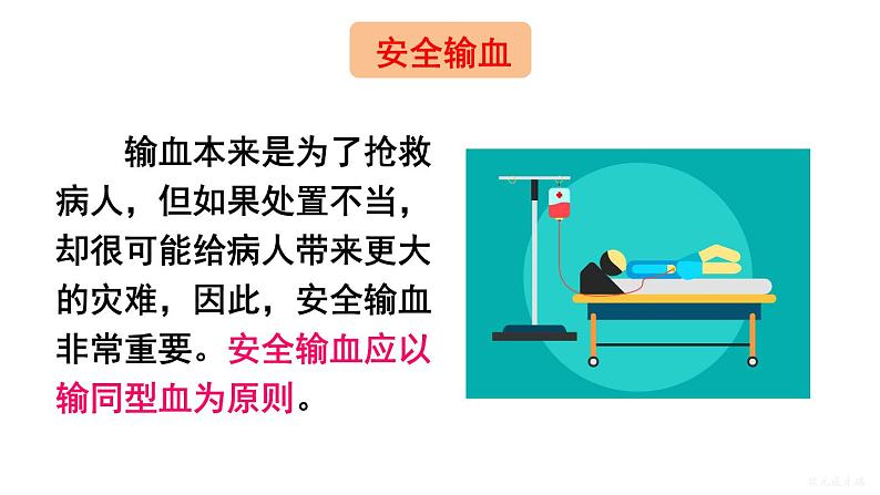 人教版七年级生物下册--4.4.4 输血与血型(课件)第8页