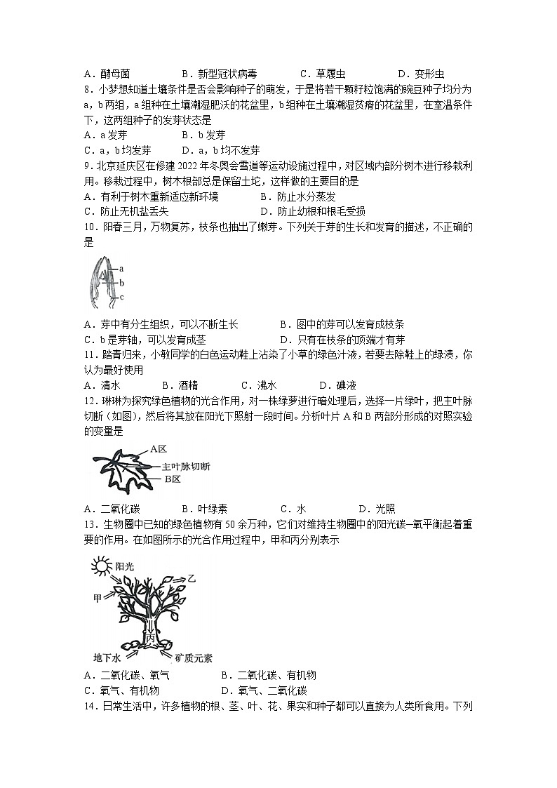 山西省运城市芮城县2022-2023学年七年级上学期期末生物试题第2页