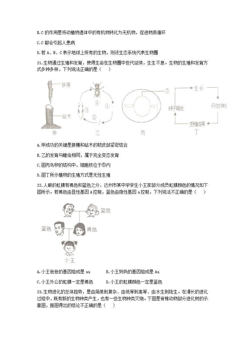 四川省達州市開江縣2022-2023學年九年級上學期期末生物試題第2頁