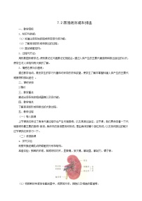 初中生物北京版七年级下册第七章 生物的排泄第二节 尿液的形成与排出教案设计