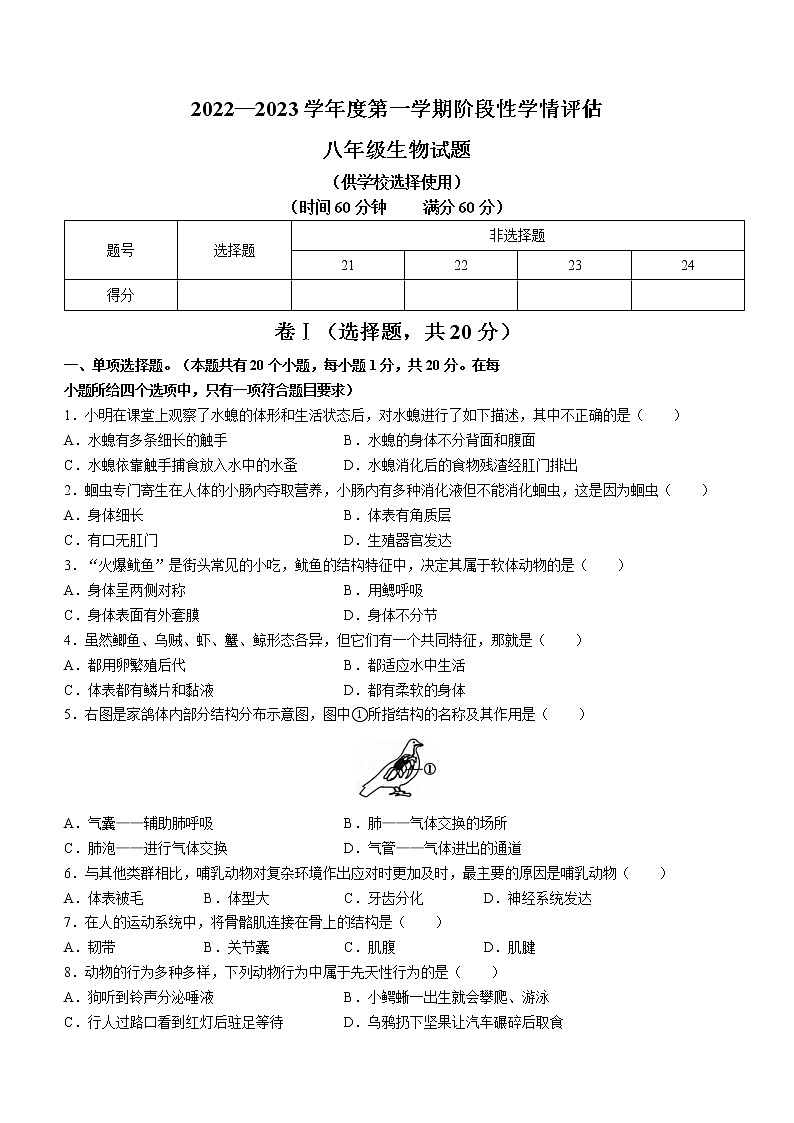 河北省保定市雄縣2022-2023學(xué)年八年級(jí)上學(xué)期期末生物試題(含答案)第1頁(yè)