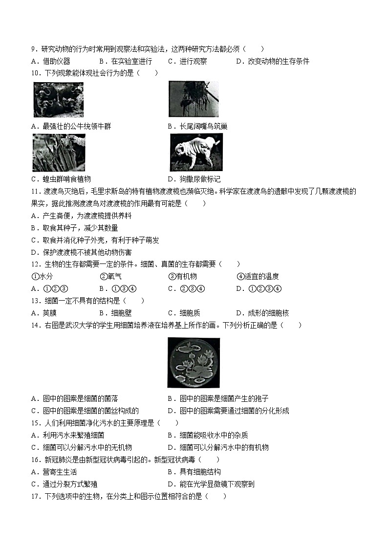 河北省保定市雄縣2022-2023學(xué)年八年級(jí)上學(xué)期期末生物試題(含答案)第2頁(yè)