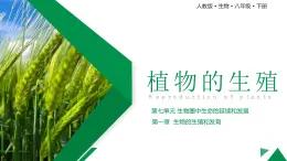 7.1.1《植物的生殖》课件