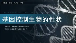 7.2.1《基因控制生物的性状》课件