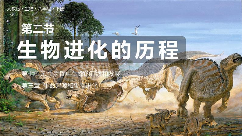 7.3.2《生物进化的历程》课件01