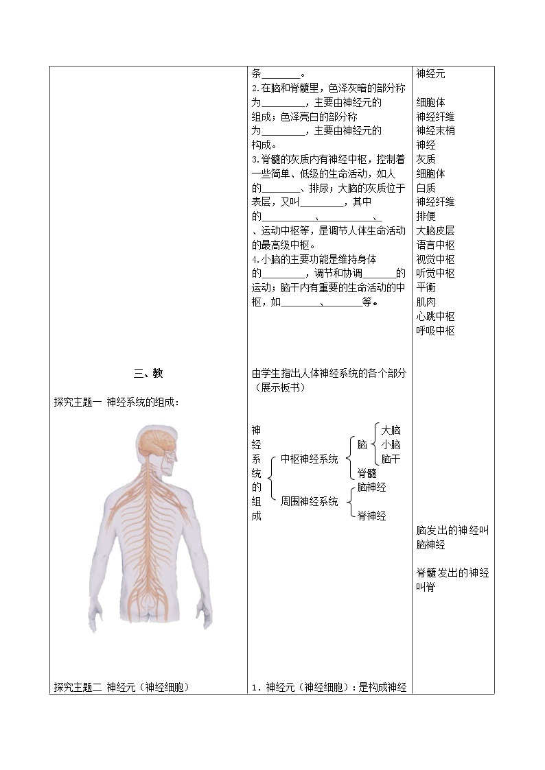 苏教版七下生物教案 12.2人体的神经调节02