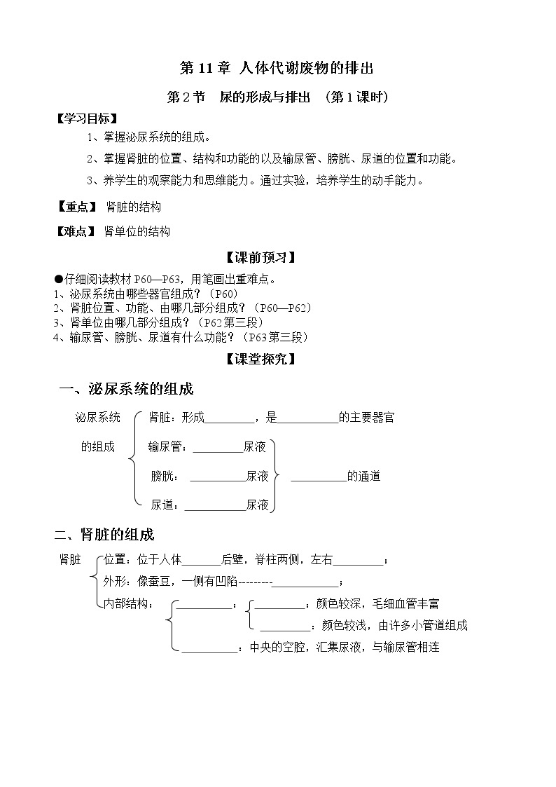 北师大版生物七下学案 11.2 尿的形成与排出（第1课时）01