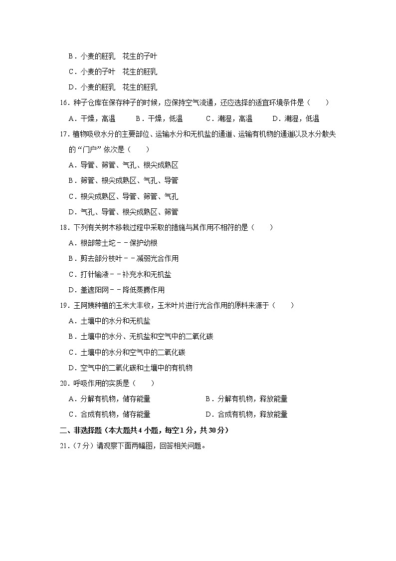 山西省朔州市右玉县第三中学2022-2023学年七年级上学期期末生物试卷(含答案)第3页