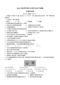 云南省文山州文山市2022-2023学年七年级上学期期末生物试题（含答案）