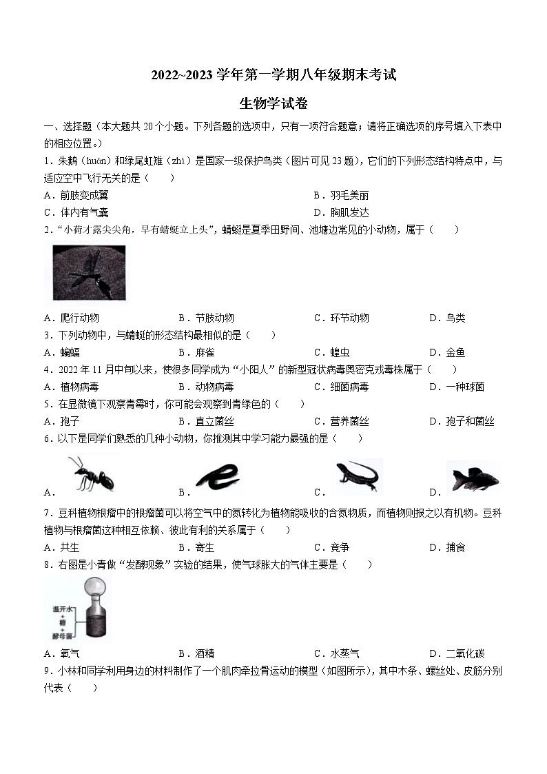 湖南省湘西泸溪县2022-2023学年八年级上学期八年级期末生物试题(含答案)第1页