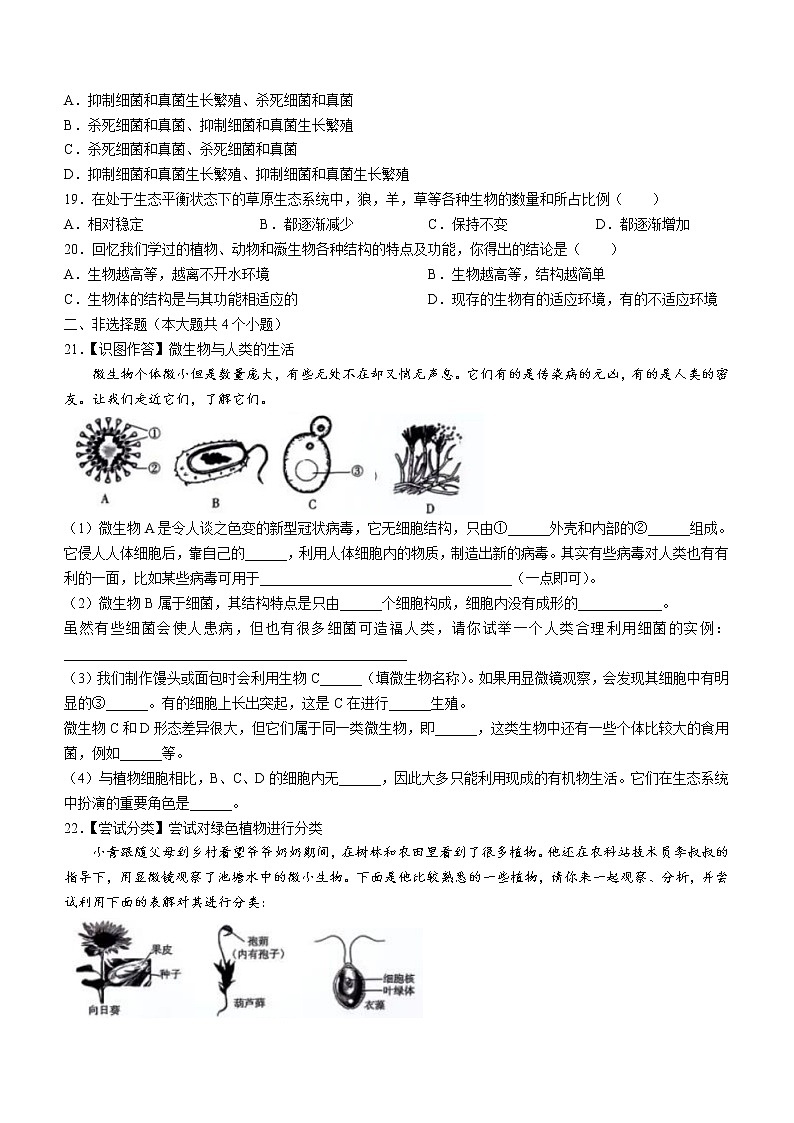 湖南省湘西泸溪县2022-2023学年八年级上学期八年级期末生物试题(含答案)第3页