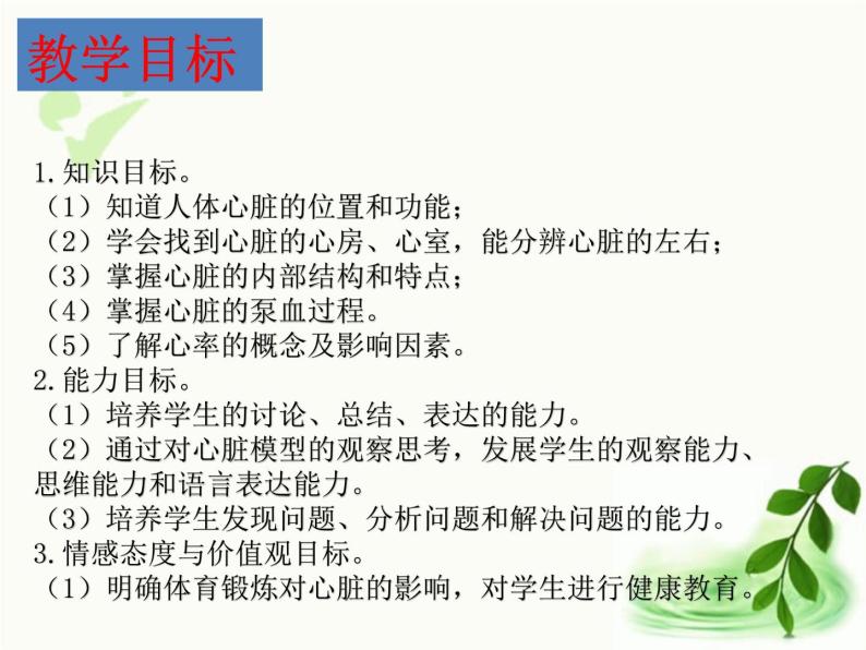 济南版生物七年级下册 第三单元 第三章 第二节 物质运输的器官 课件03