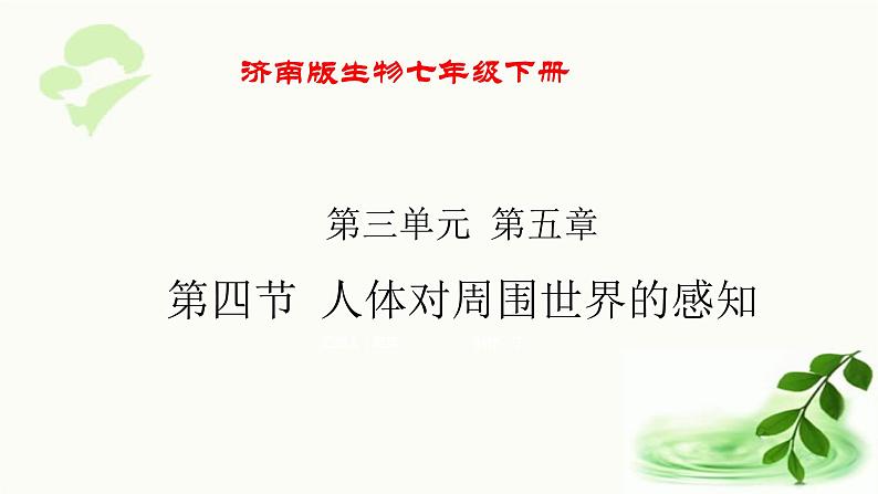 济南版生物七年级下册 第三单元 第五章 第四节 人体对周围世界的感知 课件第1页