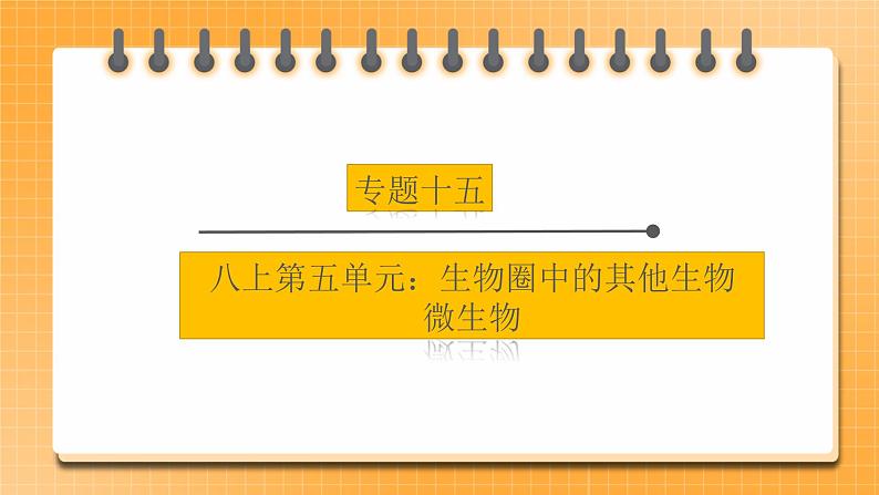 【中考一轮复习】新课标中考生物人教版课件:专题15《微生物》第1页