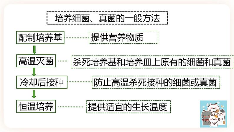 【中考一轮复习】新课标中考生物人教版课件:专题15《微生物》第5页