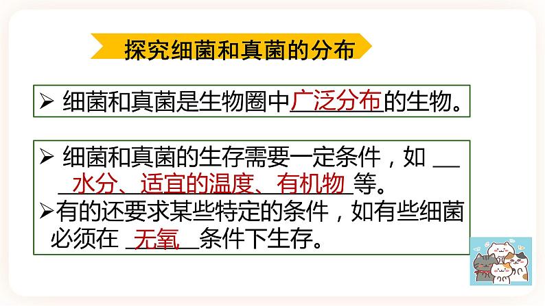 【中考一轮复习】新课标中考生物人教版课件:专题15《微生物》第6页