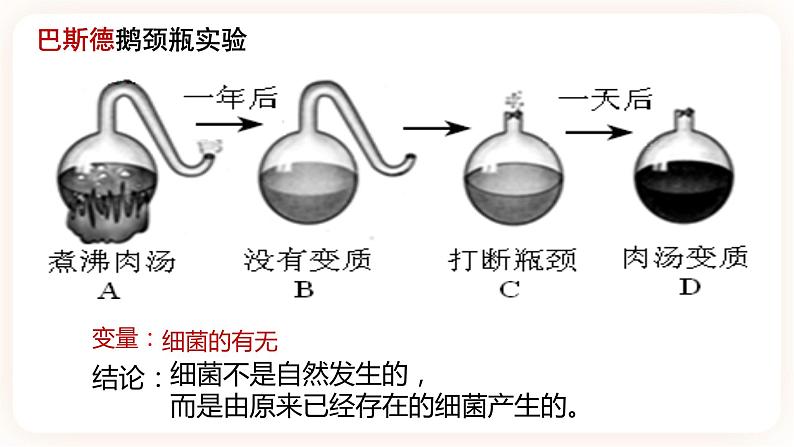 【中考一轮复习】新课标中考生物人教版课件:专题15《微生物》第8页