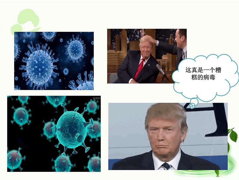济南版生物七年级下册 第三单元 第六章 第二节 传染病及预防 课件第5页