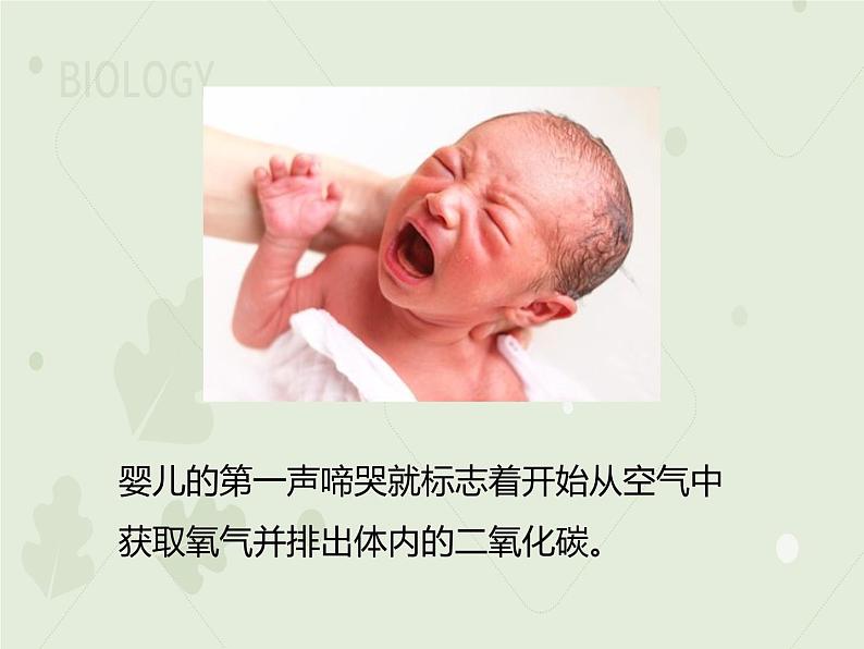 4.3.1呼吸道对空气的处理(教学课件)-2022-2023学年初中生物人教版七年级下册第2页
