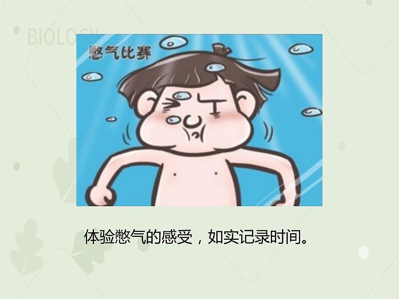 4.3.1呼吸道对空气的处理(教学课件)-2022-2023学年初中生物人教版七年级下册第3页